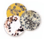 Germs, mold, & pollutants